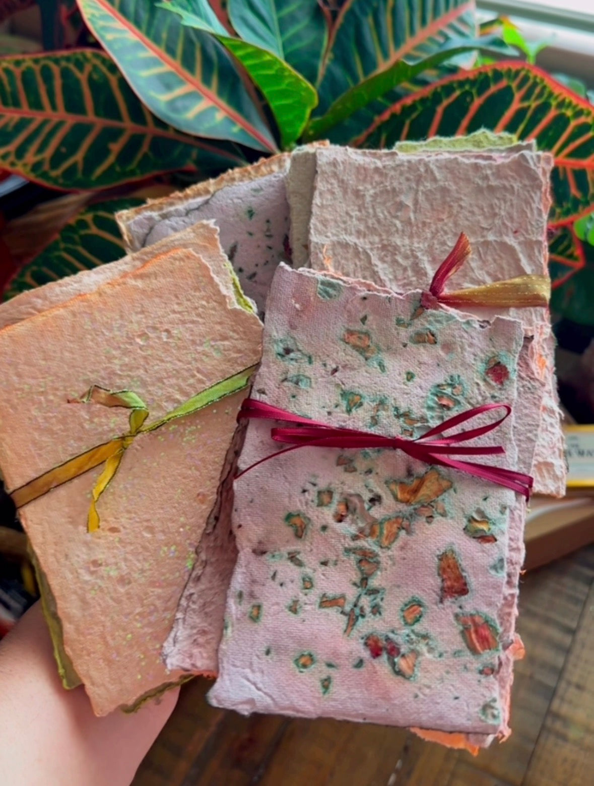 Fall ’26 Muse Box Seasonal Subscription