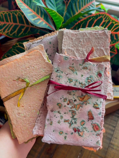 Fall ’26 Muse Box Seasonal Subscription